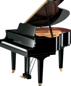 YAMAHA GB1K PM