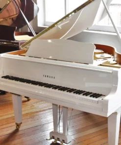 YAMAHA GB1K PWH