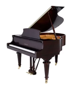YAMAHA GB1KG (Georgian)