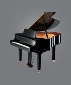 YAMAHA GB1KG (Georgian)