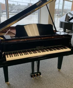 YAMAHA GC1 FP