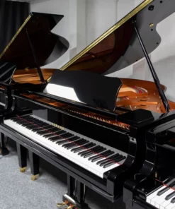 YAMAHA GC1 FP