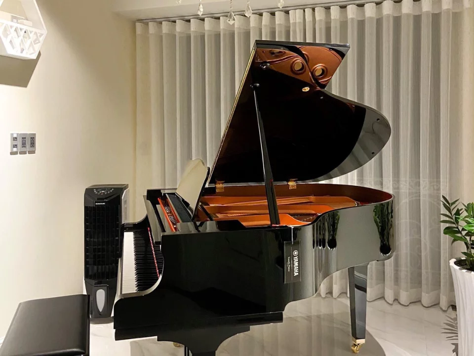 YAMAHA GC1 PE (USED)