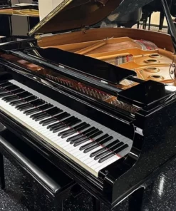 YAMAHA GC1 PE