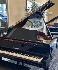 YAMAHA GC1 PE