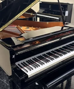 YAMAHA GC1 PE