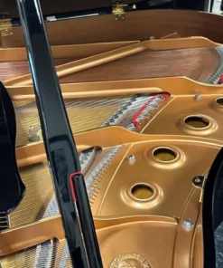 YAMAHA GC1 PE