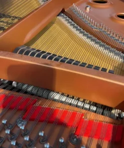 YAMAHA GC1 TA2 TRANSACOUSTIC™