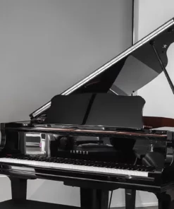 YAMAHA GC2 PE