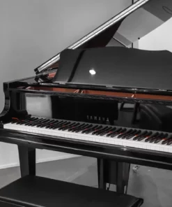 YAMAHA GC2 PE