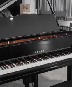 YAMAHA GC2 PE