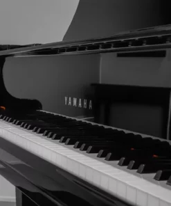 YAMAHA GC2 PE