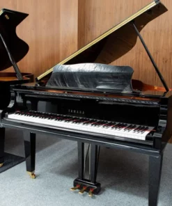 YAMAHA GC2 PE