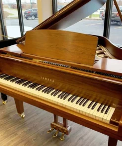 YAMAHA GH1
