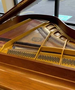 YAMAHA GH1