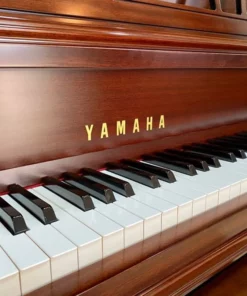 YAMAHA M2 SDW