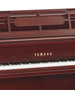 YAMAHA M2 SDW