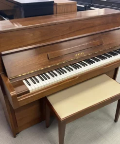 YAMAHA M2 SM