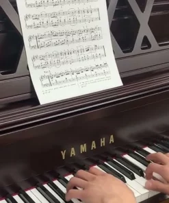 YAMAHA M2 SM
