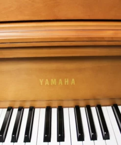 YAMAHA M2 SM