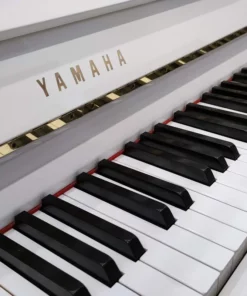 YAMAHA M5 SDW