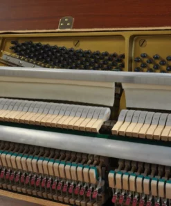 YAMAHA M5 SDW
