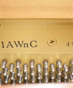 YAMAHA MC1AWnC