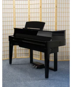 AVANT GRAND N1X (USED)