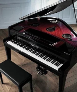 AVANT GRAND N3X (NEW)