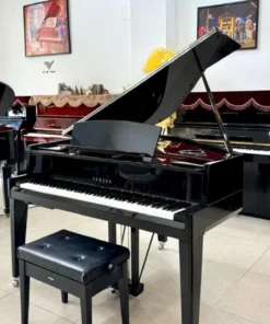 AVANT GRAND N3X (NEW)