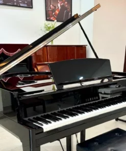 AVANT GRAND N3X (NEW)