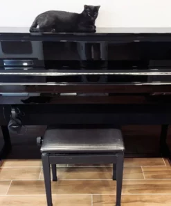 YAMAHA NU1X PE (New)