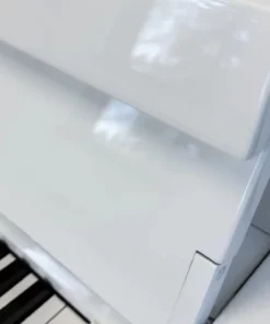 YAMAHA NU1X PBW