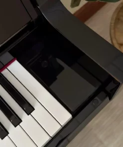 YAMAHA NU1XA PE