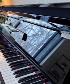 YAMAHA NU1XA PE