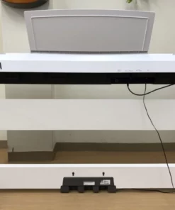 YAMAHA P-105 (1 pedal)