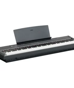 YAMAHA P-105 (1 pedal)