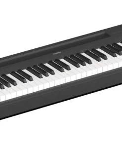 YAMAHA P-145