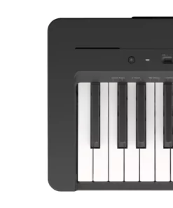 YAMAHA P-145