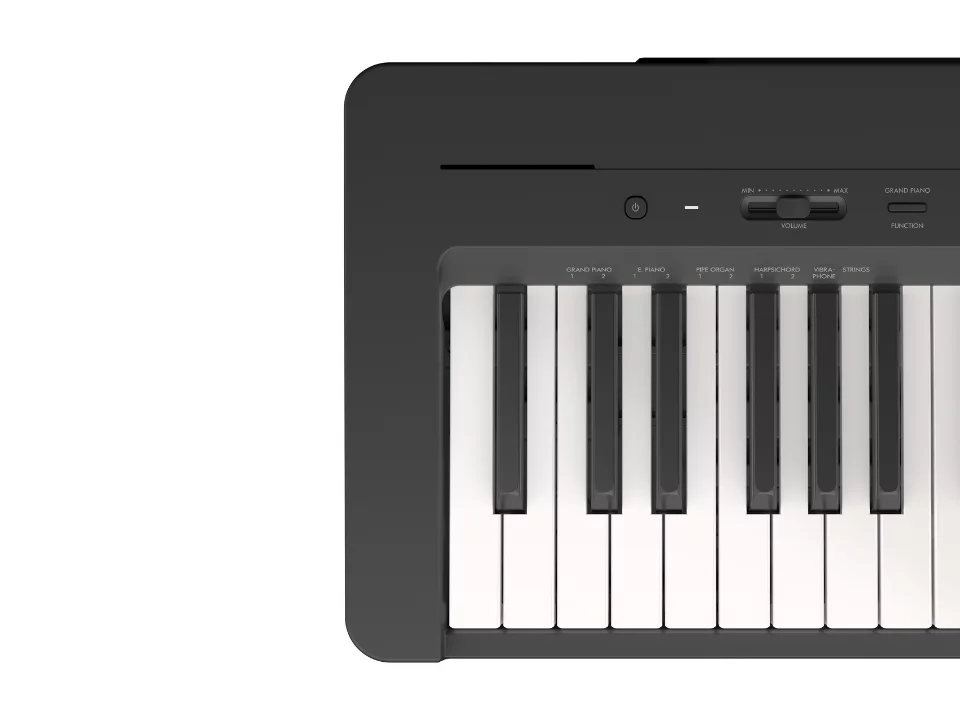 YAMAHA P-145