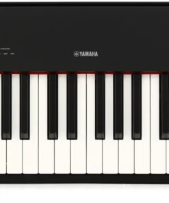 YAMAHA P-225B