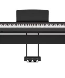 YAMAHA P-225B