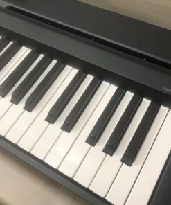 YAMAHA P48 B