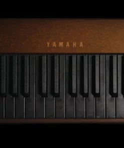 YAMAHA Torch T-01