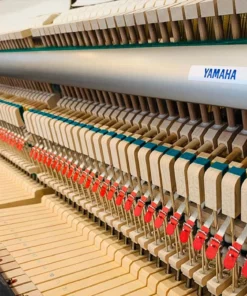 YAMAHA U1