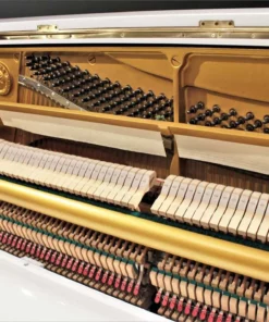 YAMAHA U1 Wh