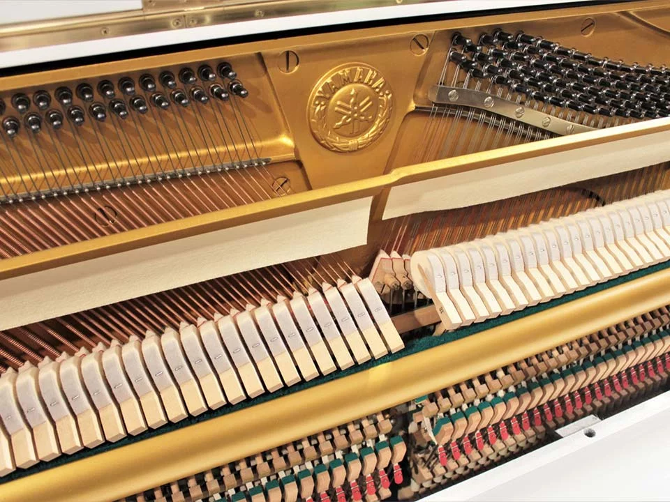 YAMAHA U1 Wh - Nah Music