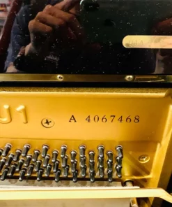 YAMAHA U1A