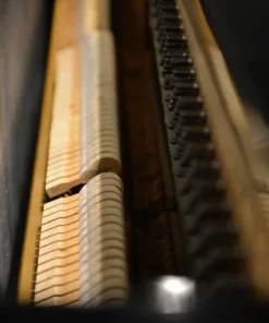 YAMAHA U1D