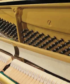 YAMAHA U1E Wh